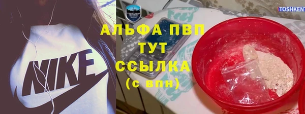 СК Щигры