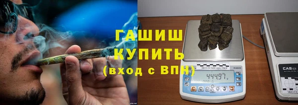 прущие грибы Горнозаводск