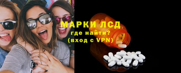 прущие грибы Горнозаводск