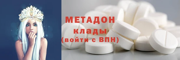 прущие грибы Горнозаводск