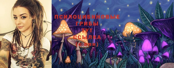 прущие грибы Горнозаводск