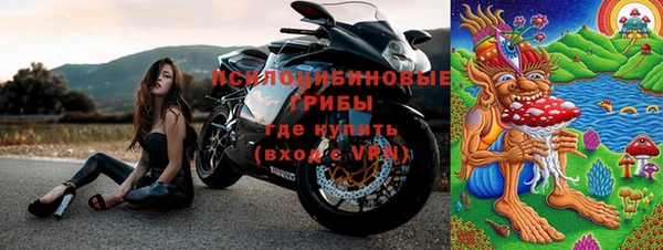 прущие грибы Горнозаводск