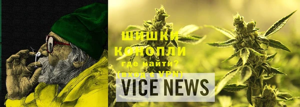 прущие грибы Горнозаводск